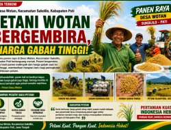 Panen Raya di Desa Wotan, Petani Bergembira Harga Gabah Tinggi