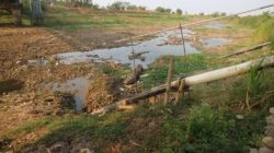 Silugonggo Mengering, Petani Pati di Ujung Krisis Air