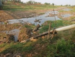 Silugonggo Mengering, Petani Pati di Ujung Krisis Air